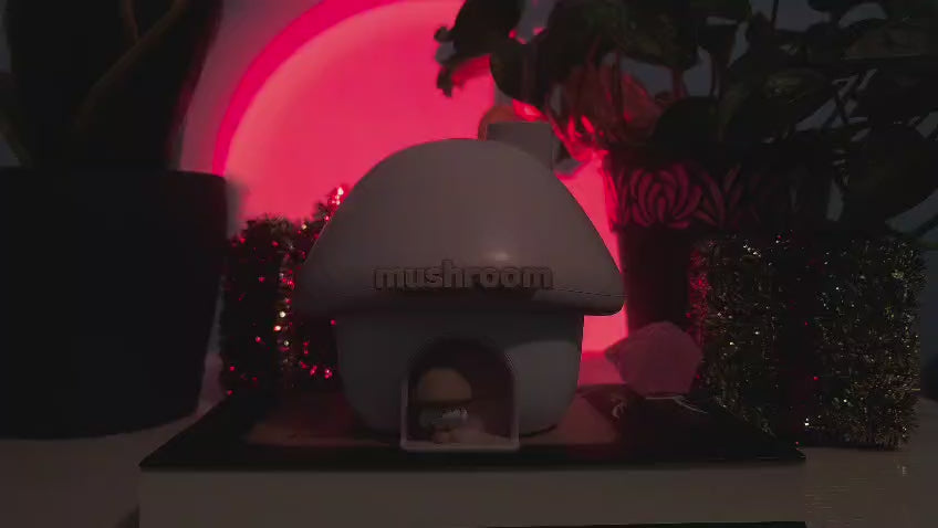 MUSHROOM HUMIDIFIER